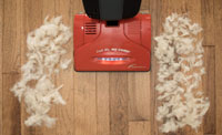 Upright Vacuums Cleaners for Hardwood Floors