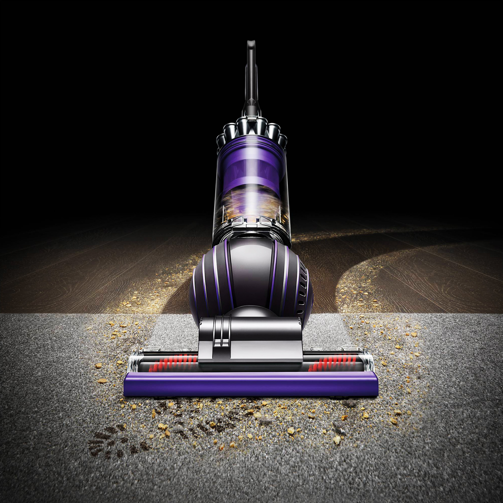 Dyson Ball Animal 2 Upright 2024 Vacuum