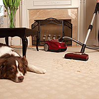 Effortlessly Cleans Bare Floors and Area Rugs